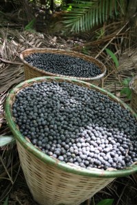 Acai in baskets