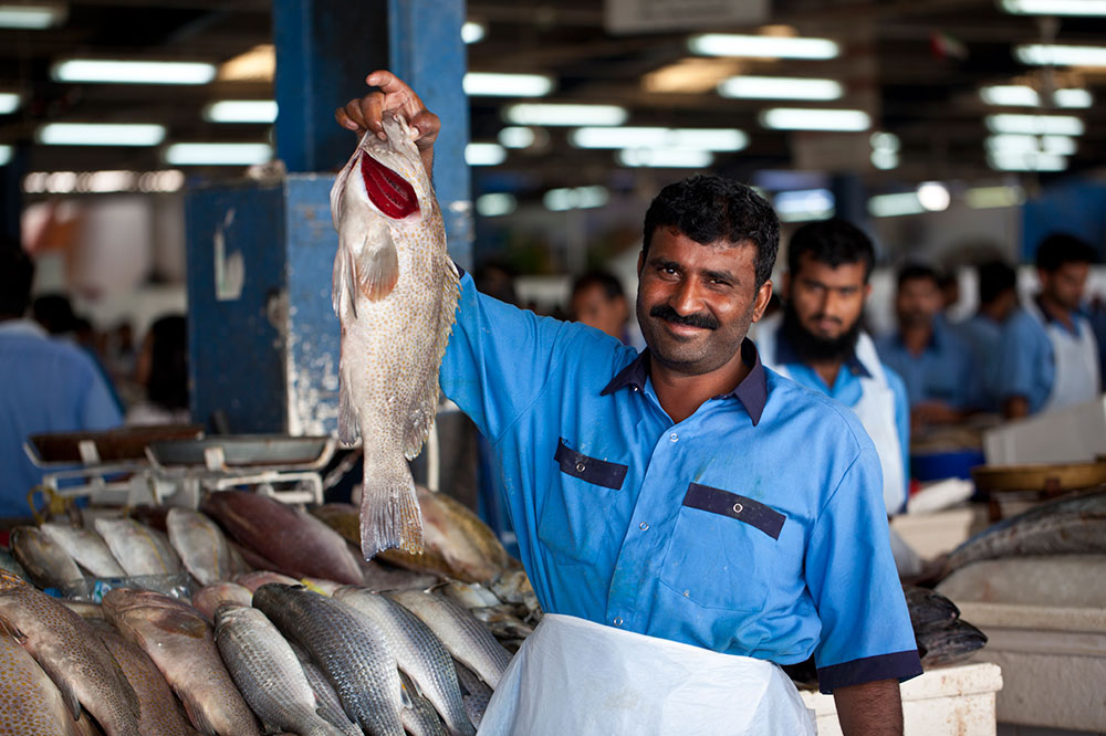 Innovation in global cold chain transport is helping to reduce food and medical waste